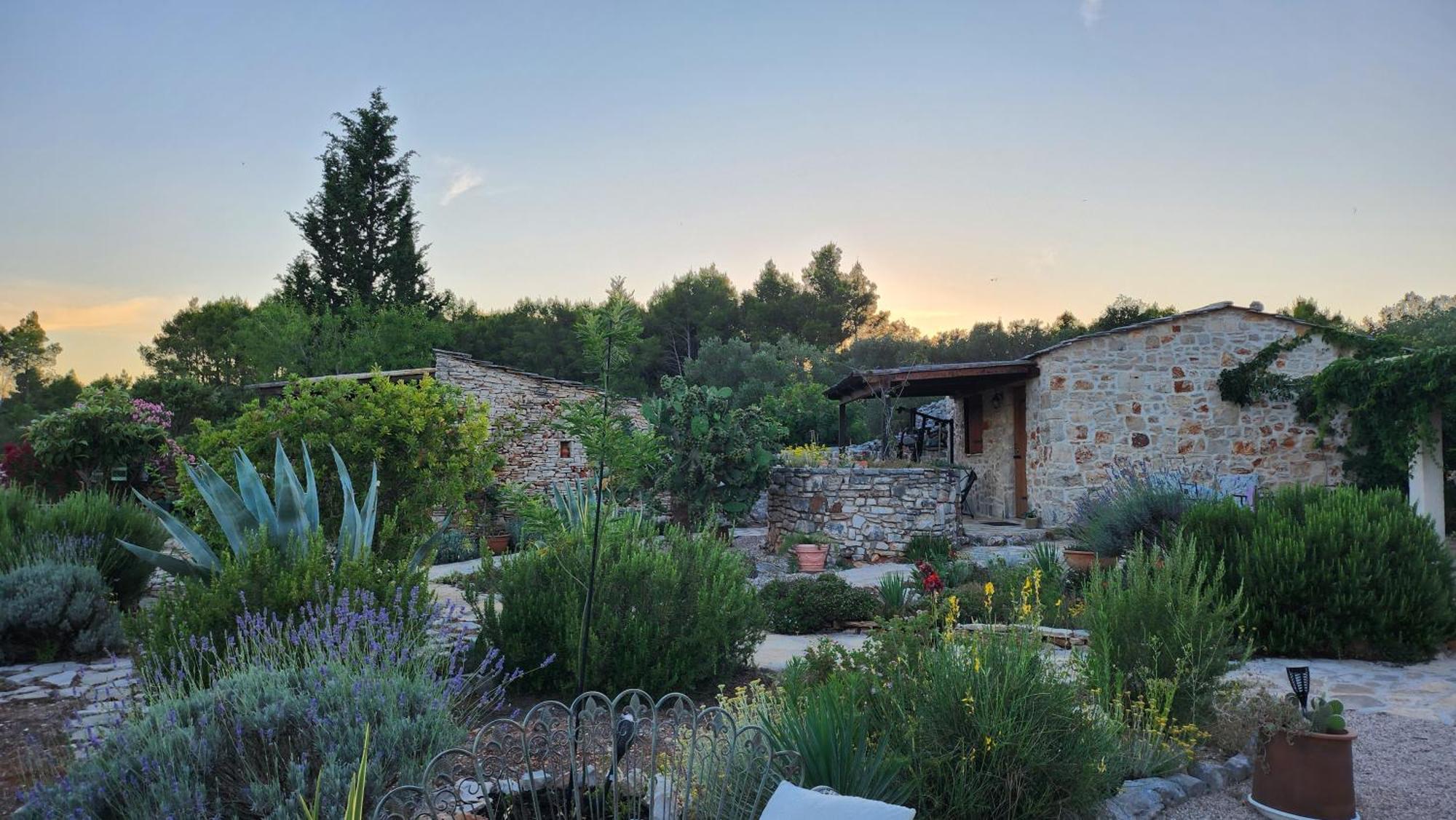 Villa Oxa Dreamland Stari Grad  Exterior foto
