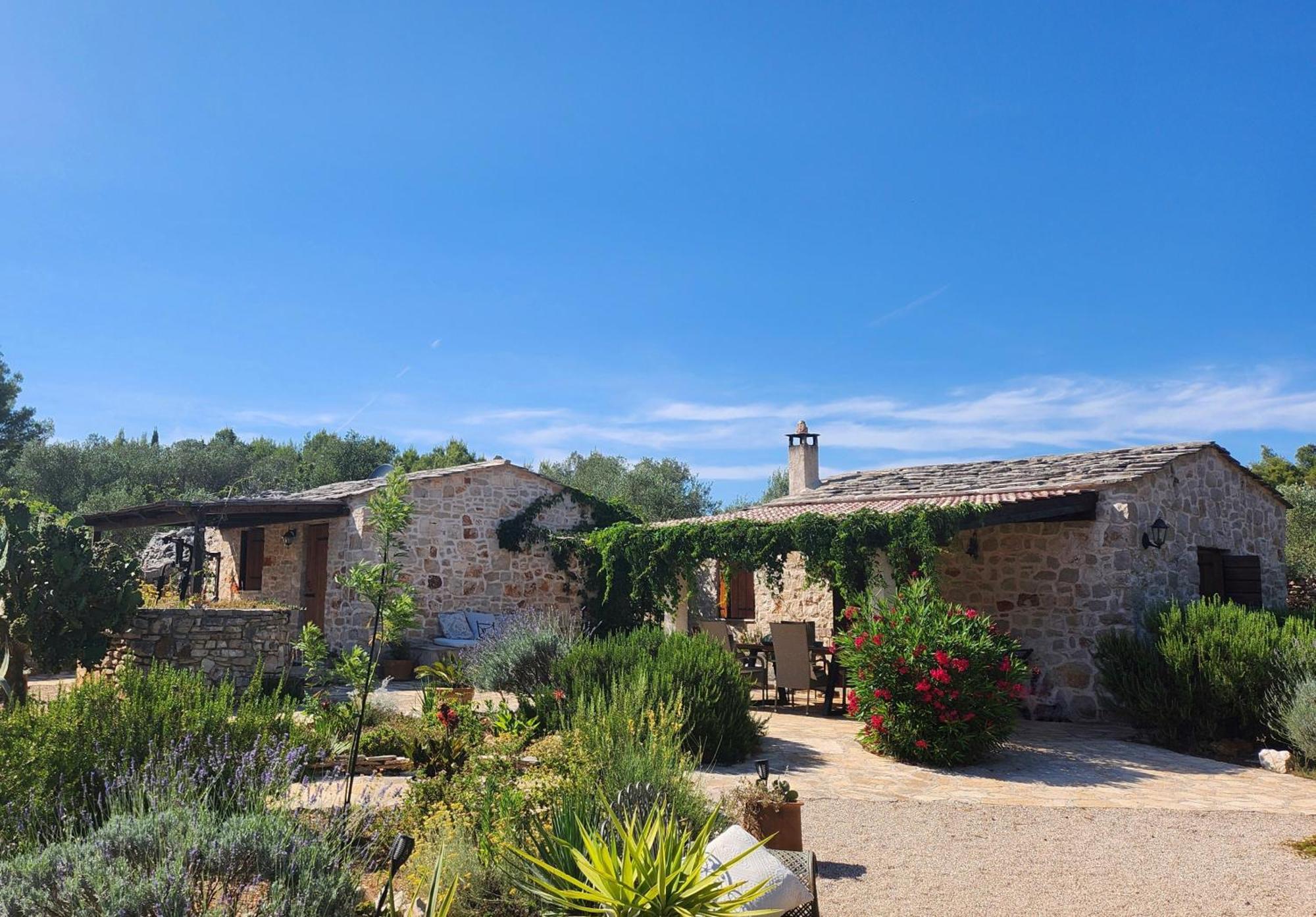 Villa Oxa Dreamland Stari Grad  Exterior foto