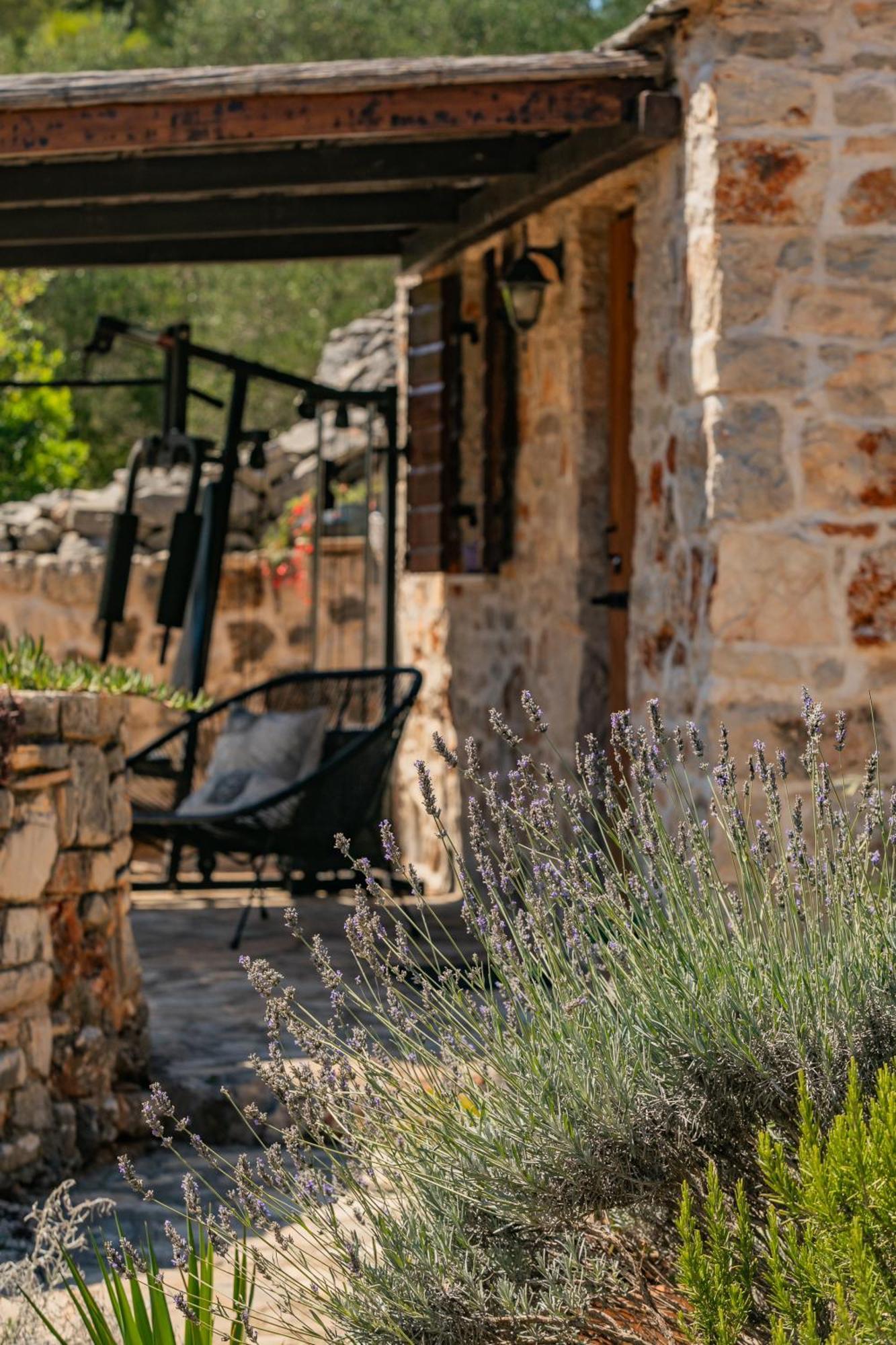 Villa Oxa Dreamland Stari Grad  Exterior foto